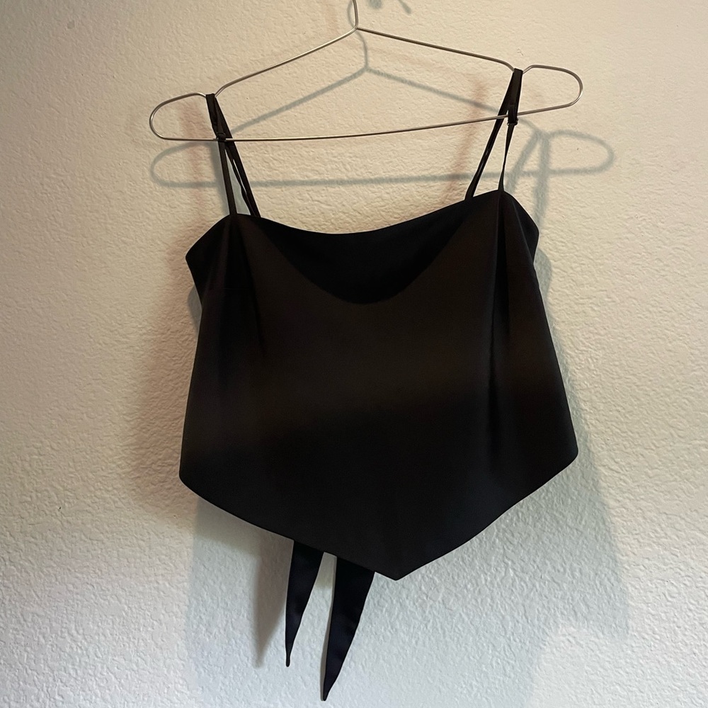 Aritzia Sunday Best- Hanker-chief top